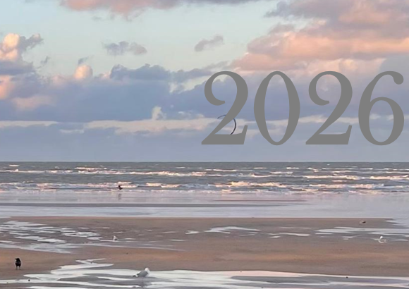 Meilleurs vœux 2026