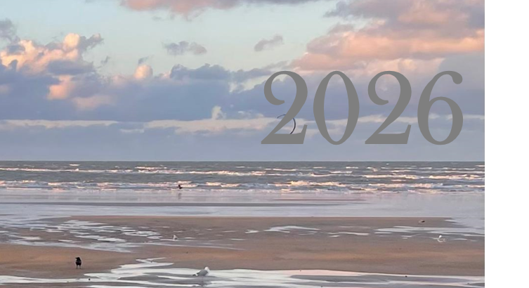 Meilleurs vœux 2026